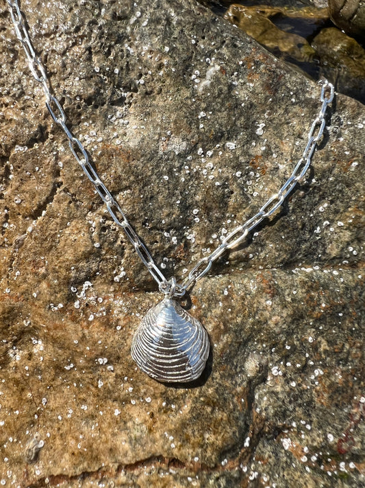 A SHELL NECKLACE