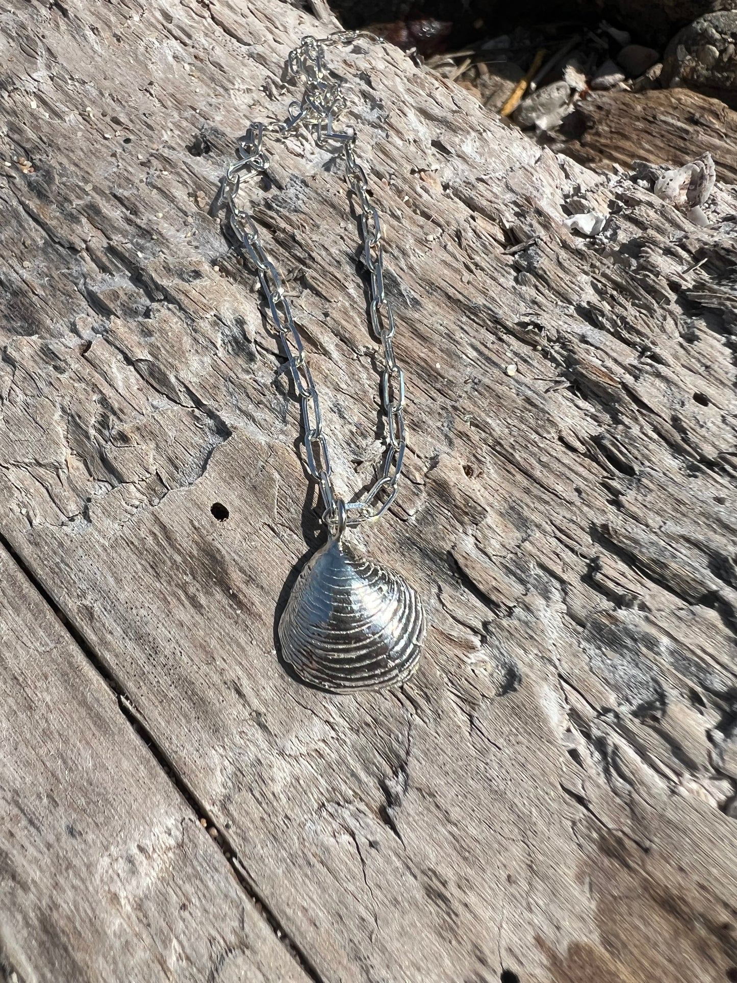 COLLAR UNA CONCHA