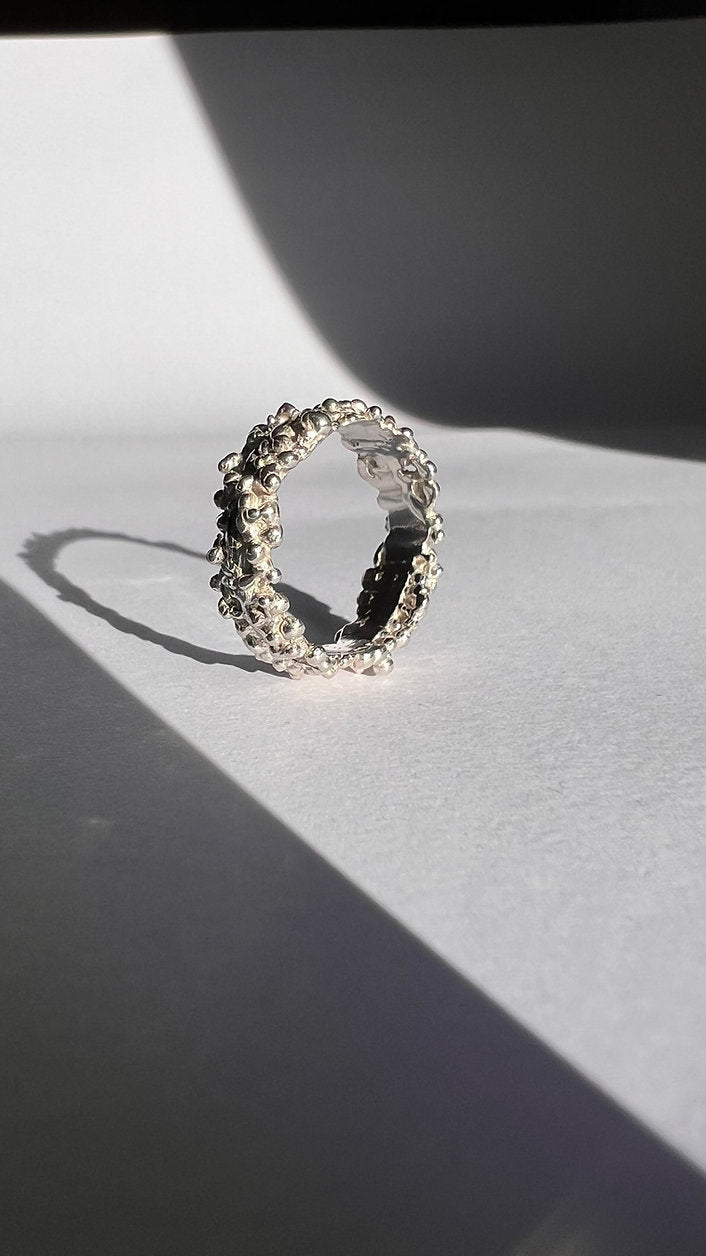 HERA RING