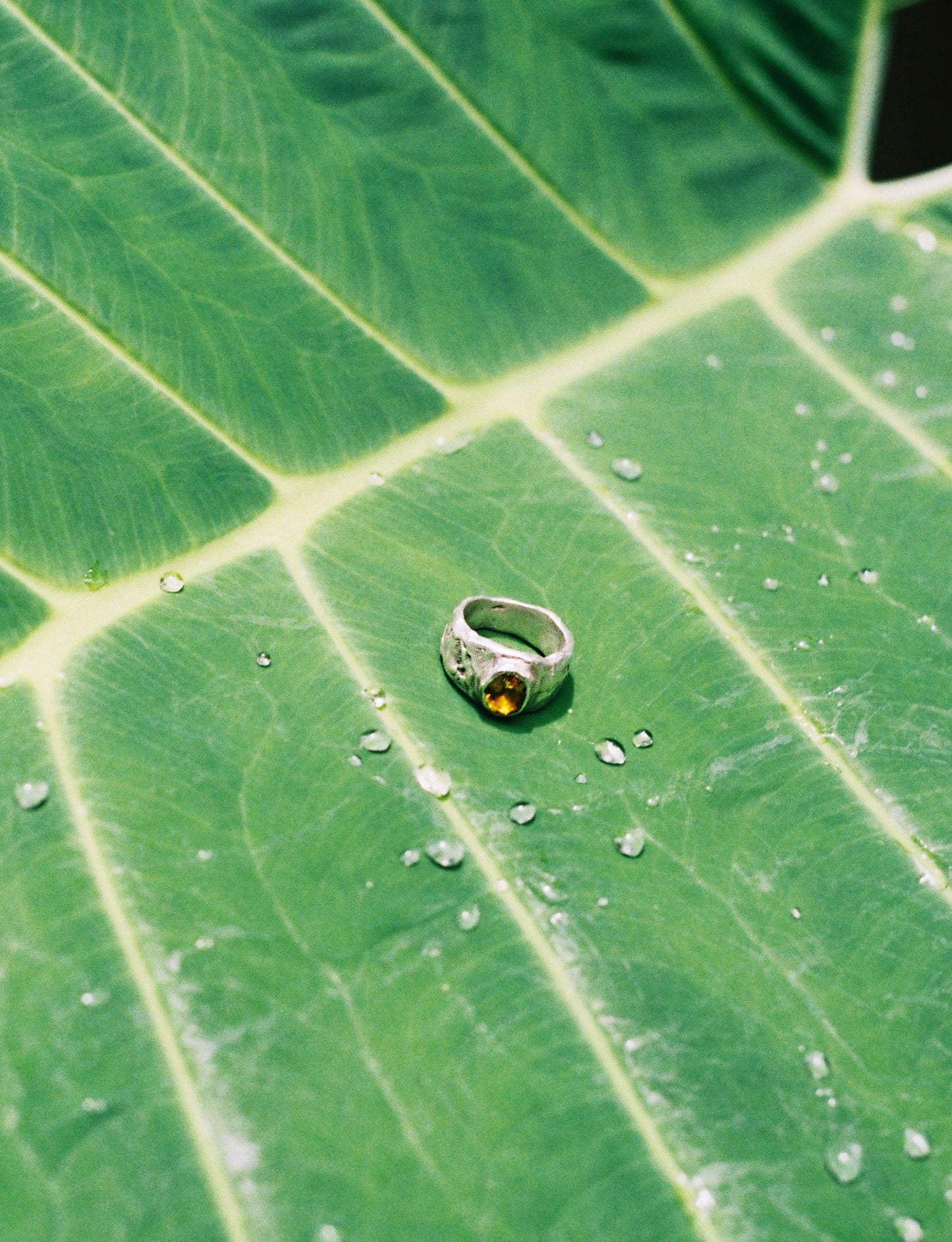 ANILLO BRISA ANCHO