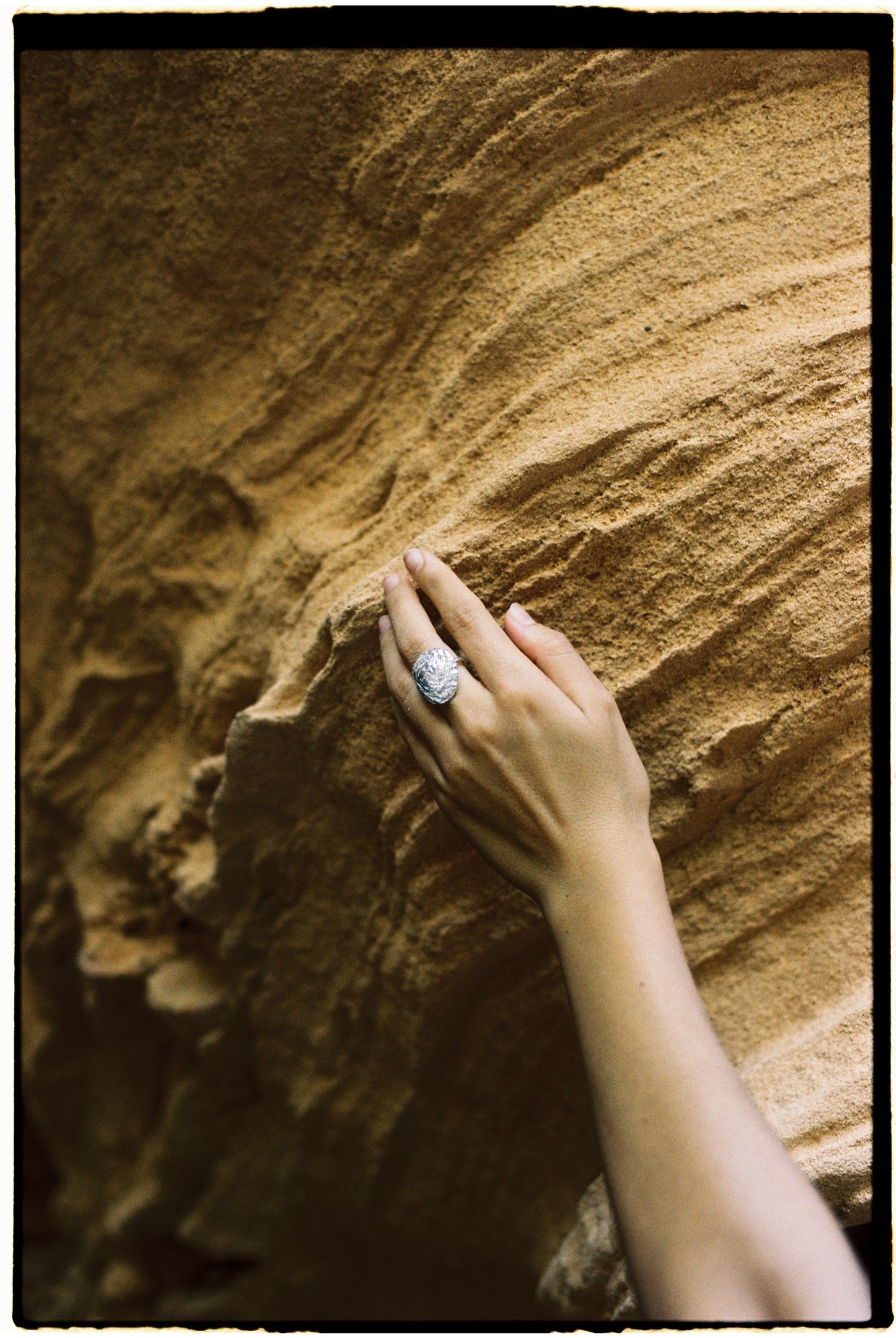 ANILLO FÓSILES